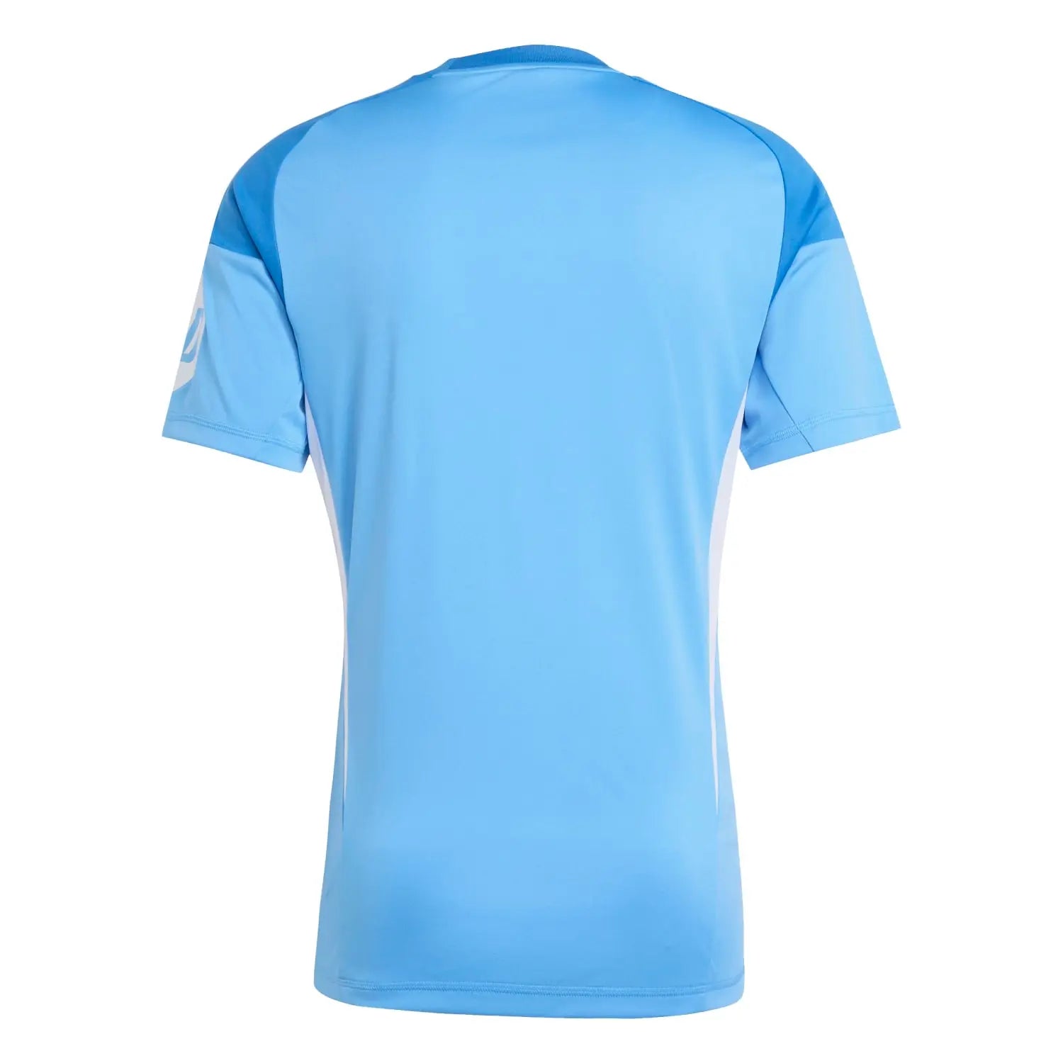 Maillot Real Madrid Gardien Bleu 24/25